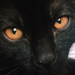 Meet your Posher, Yvonne